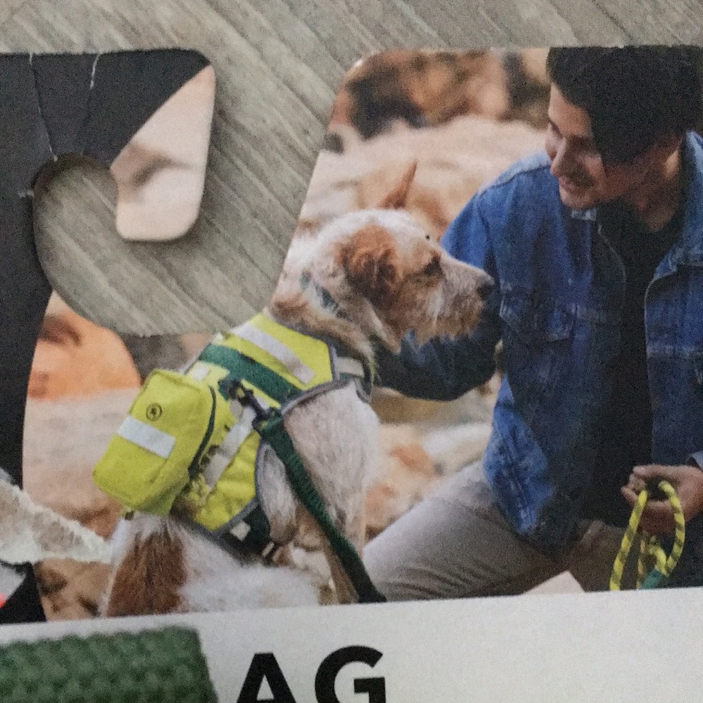 Doggie book bag. NWTS